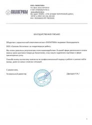 Благодарность от Пилигрим